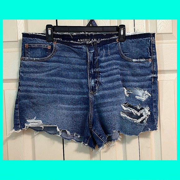New! American Eagle 90’s Boyfriend Shorts  (34W) - Picture 1 of 7
